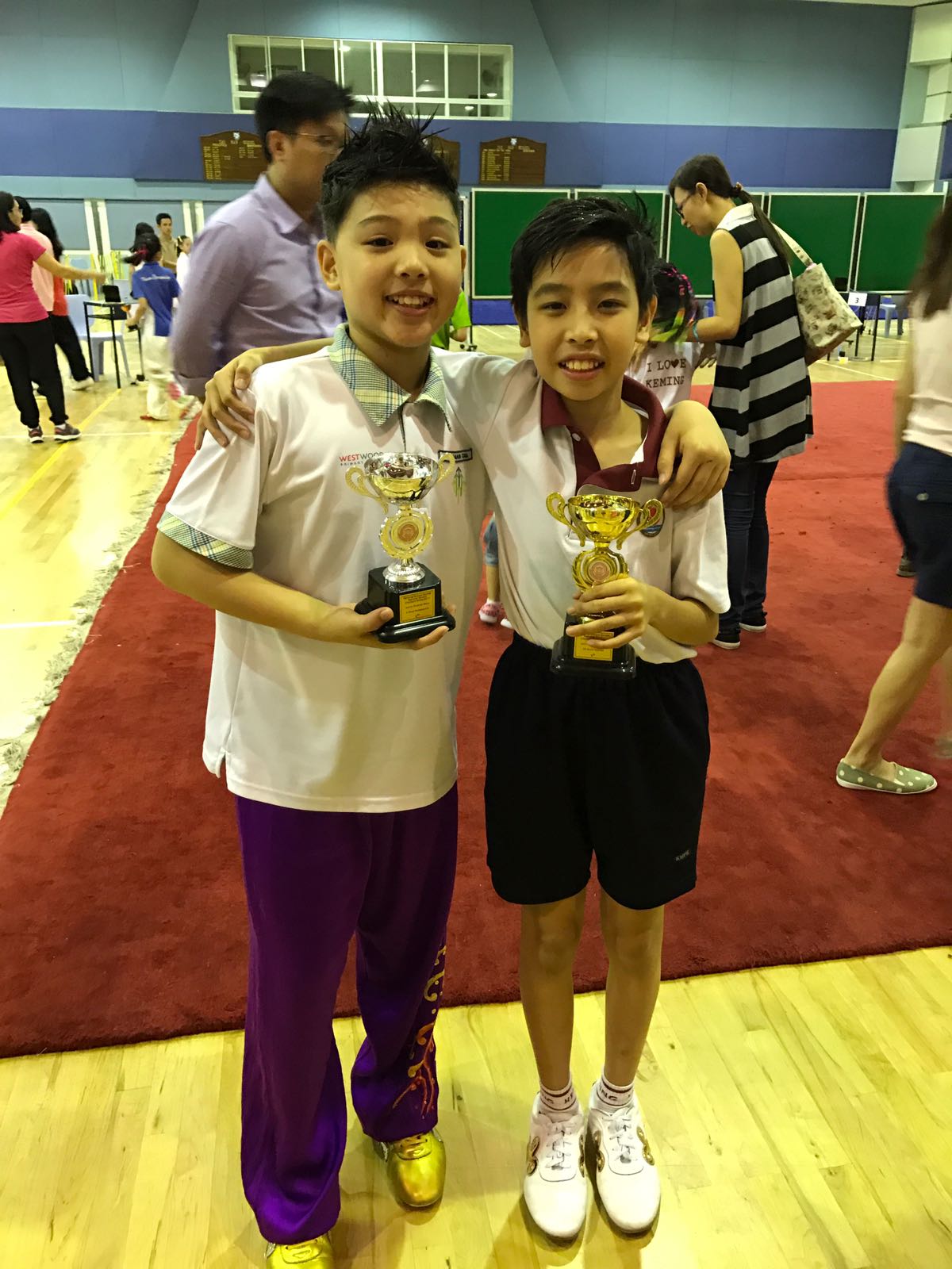 Results from the 13th National Primary Schools Wushu Championship 2017 Day 3